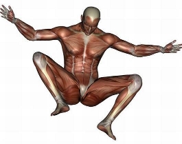 Male Pelvic Floor Advanced Massage And Bodywork