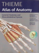 thieme anatomy atlas